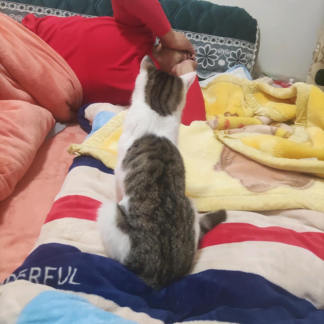 小乡村地锅鸡李老板。