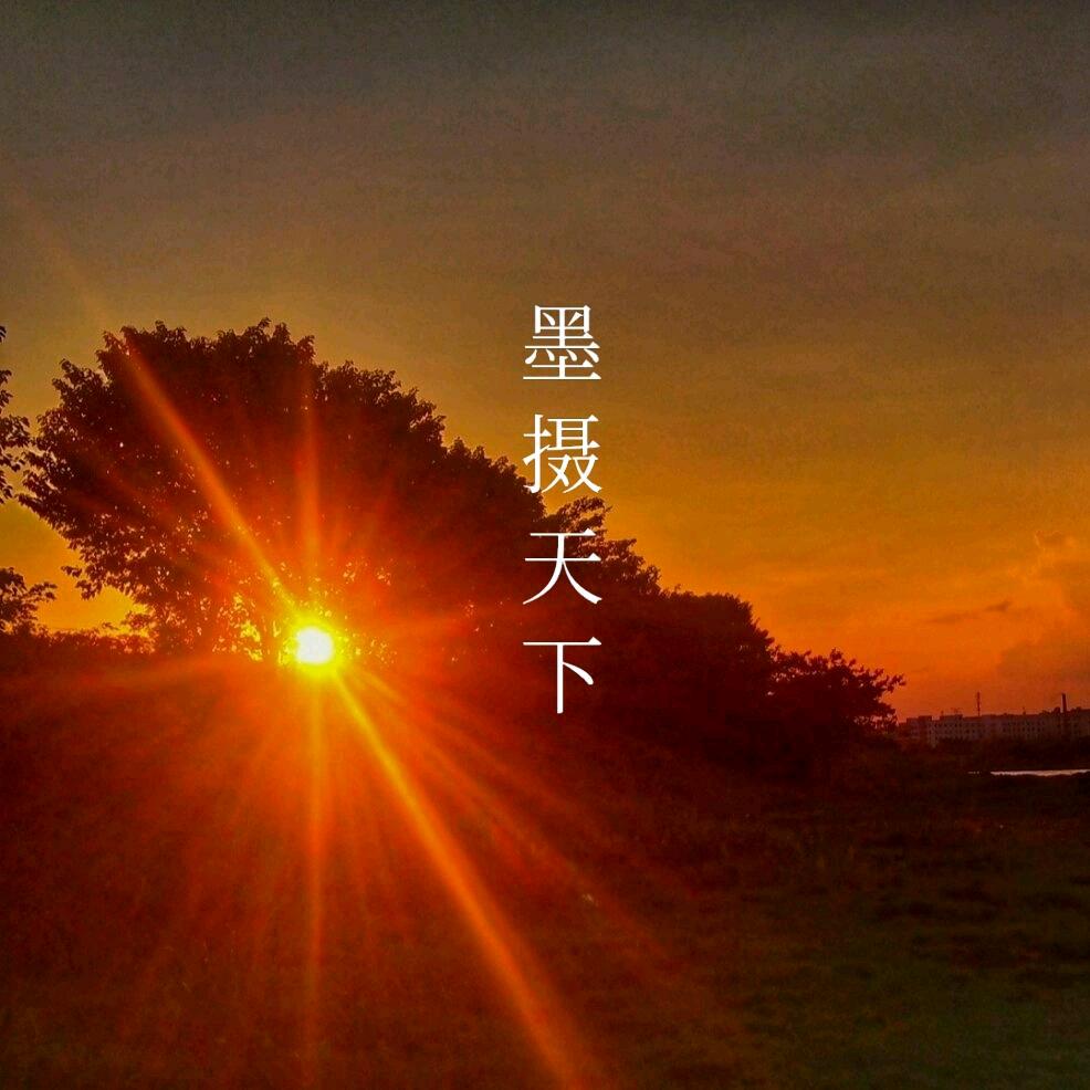墨摄天下