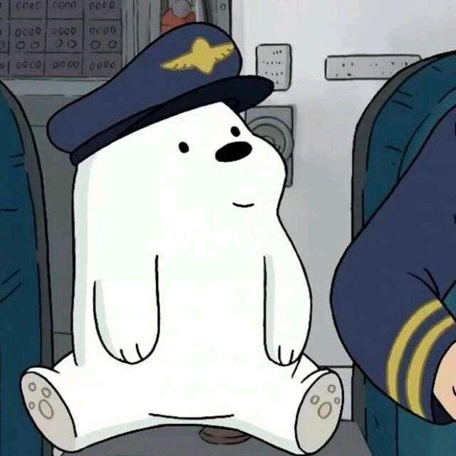 Captain.Bear