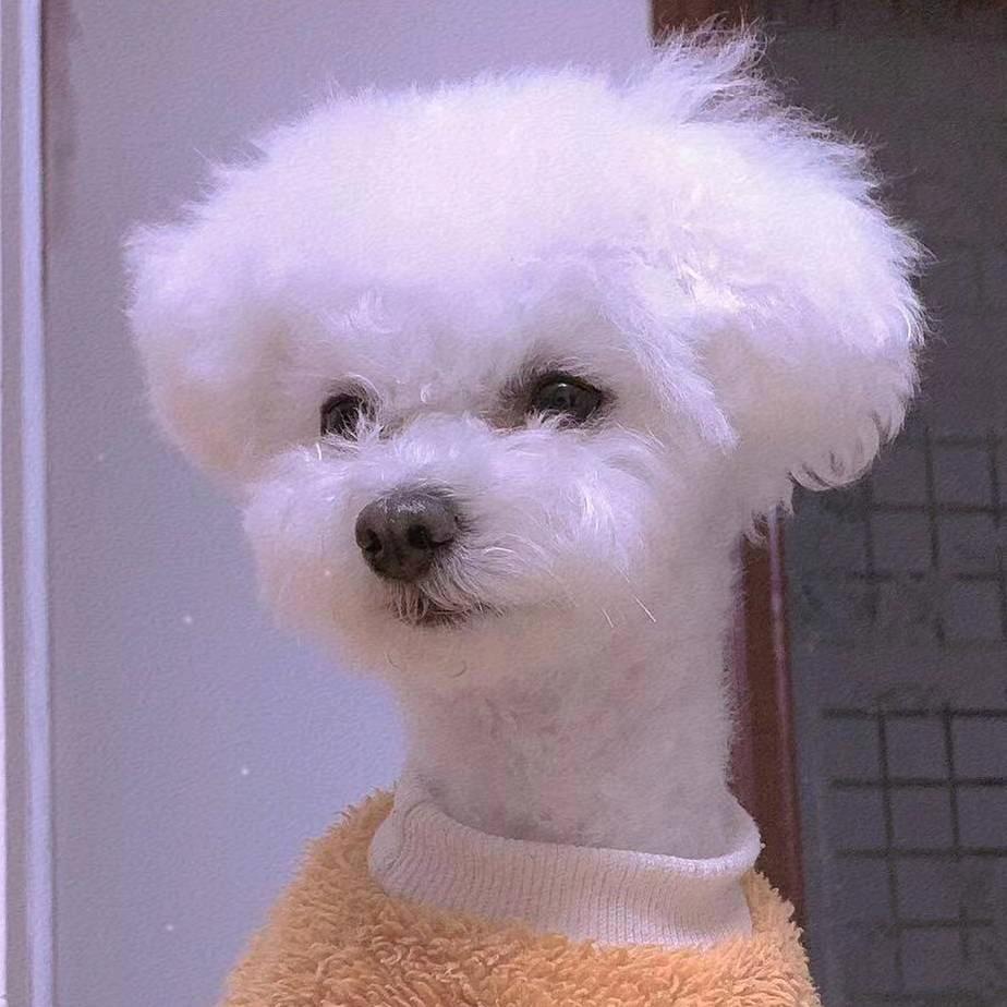 闫之🈶理