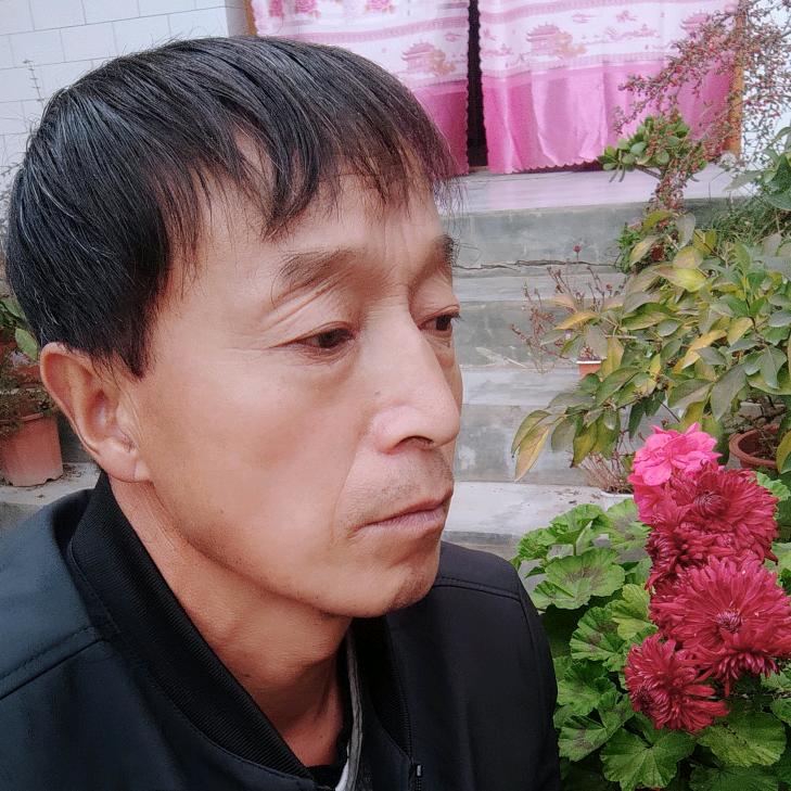 小杨乡村行