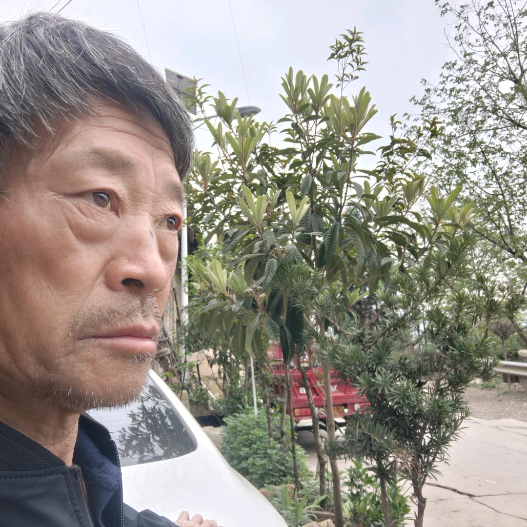 大聪明