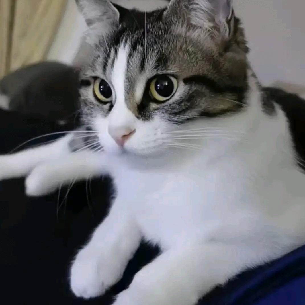 缘分让我们相遇