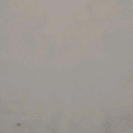 满山猴子，我腚最红