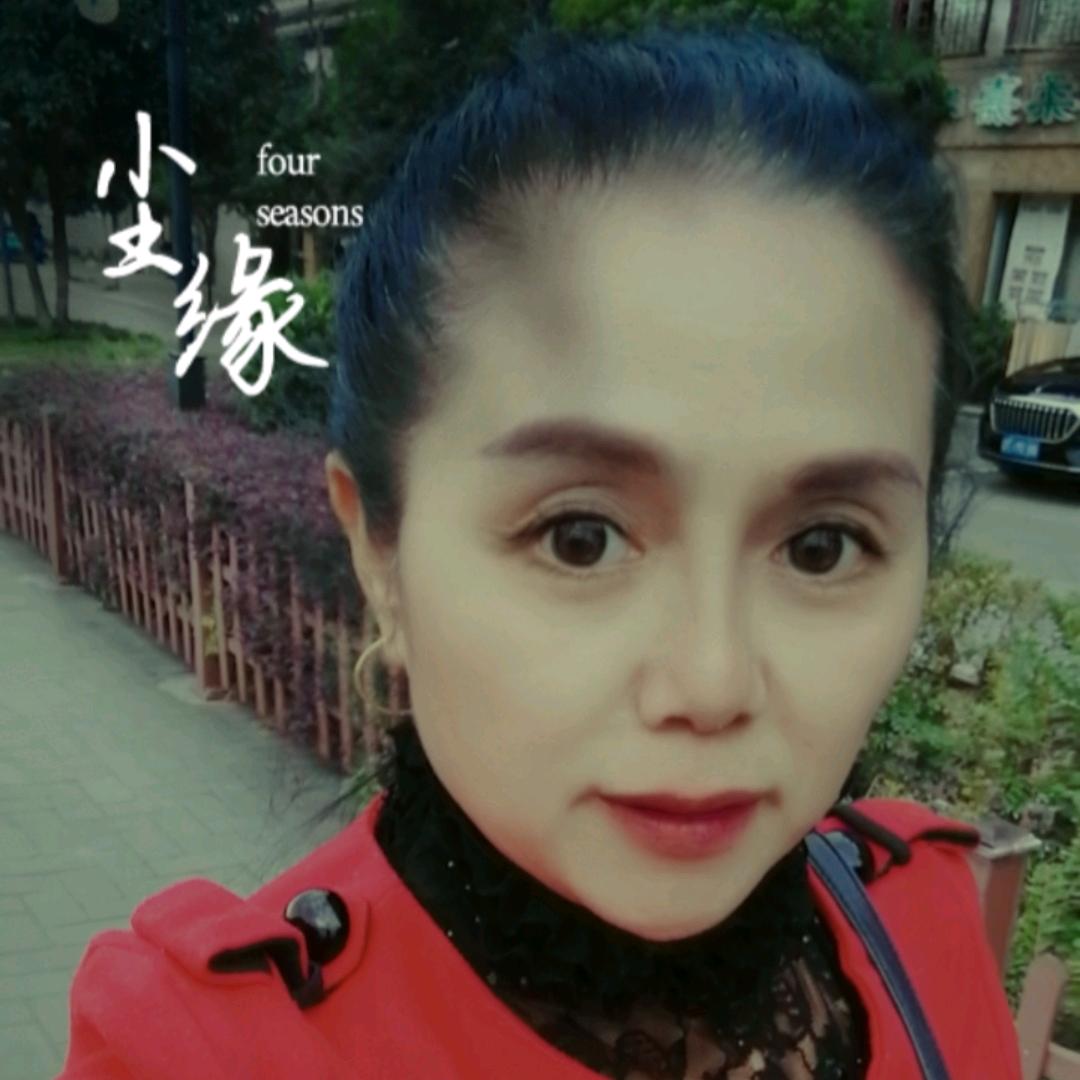 雾里的雨😊