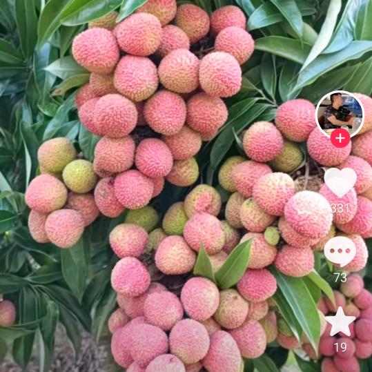 李总