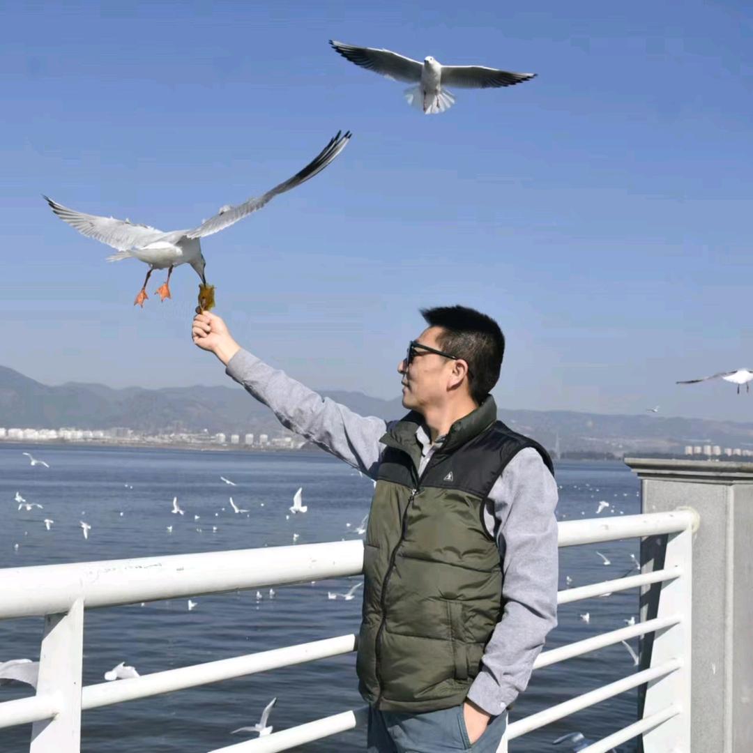木子林