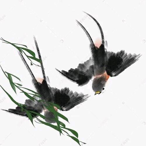 燕子双飞