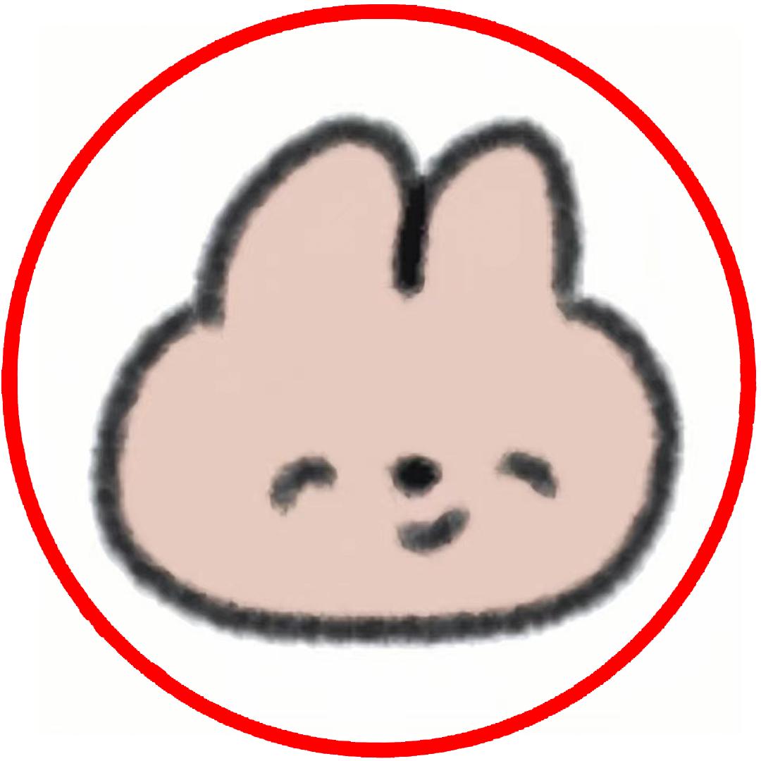 元宝🐰