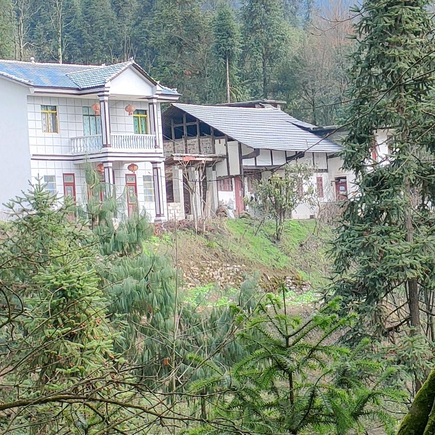 低调做人，本分做事，加油💪陈蒙厚爱