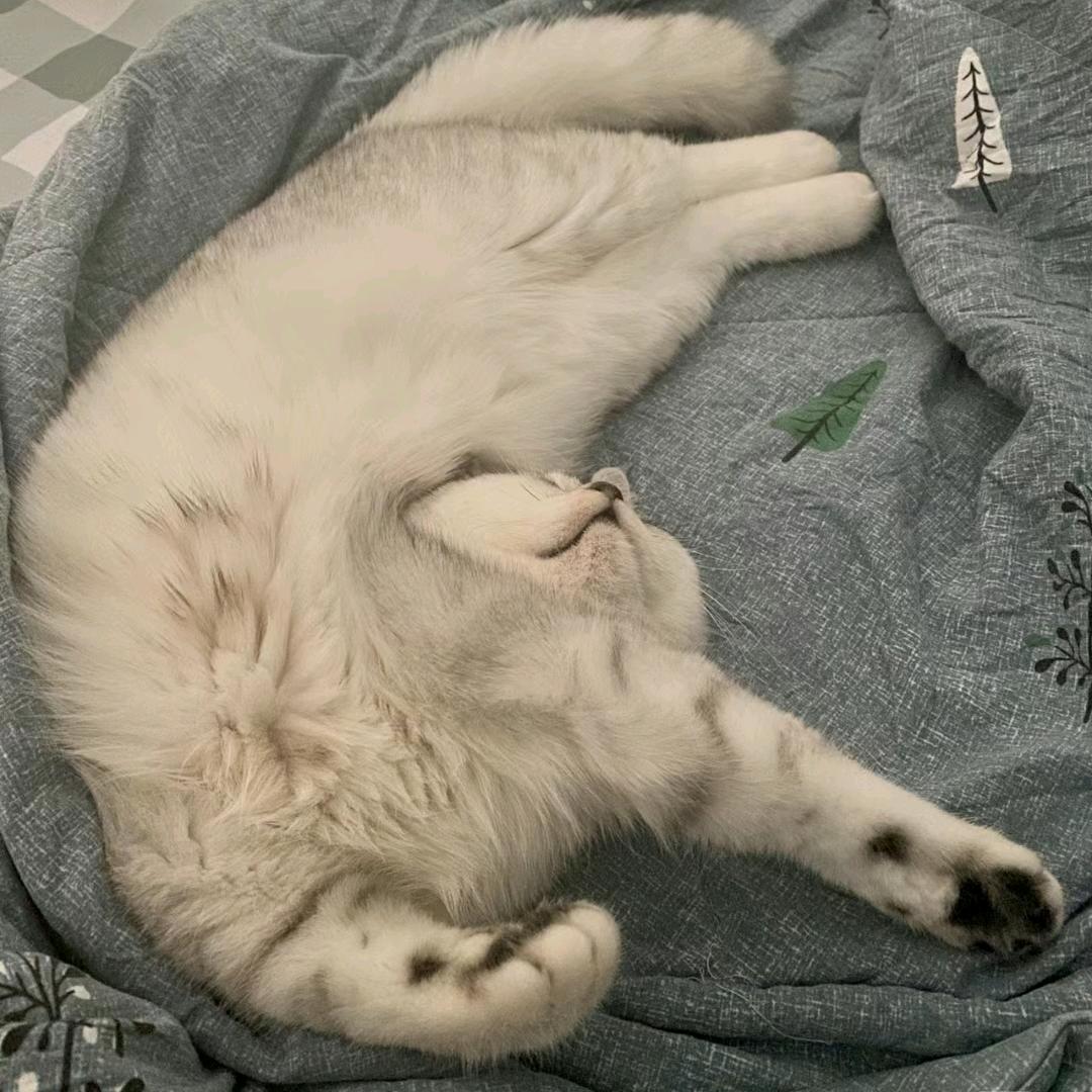 penny