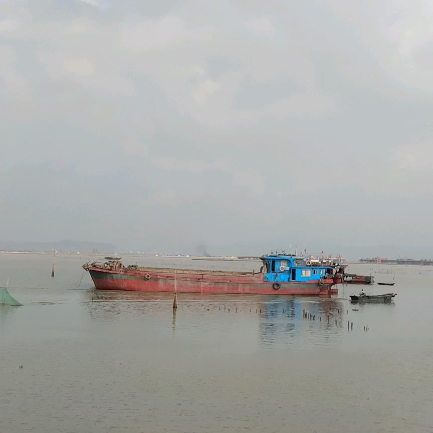 军哥（有关必回）