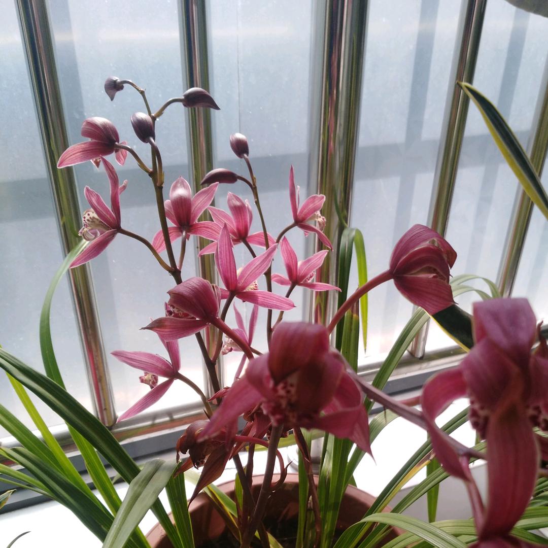 暖心💞向阳