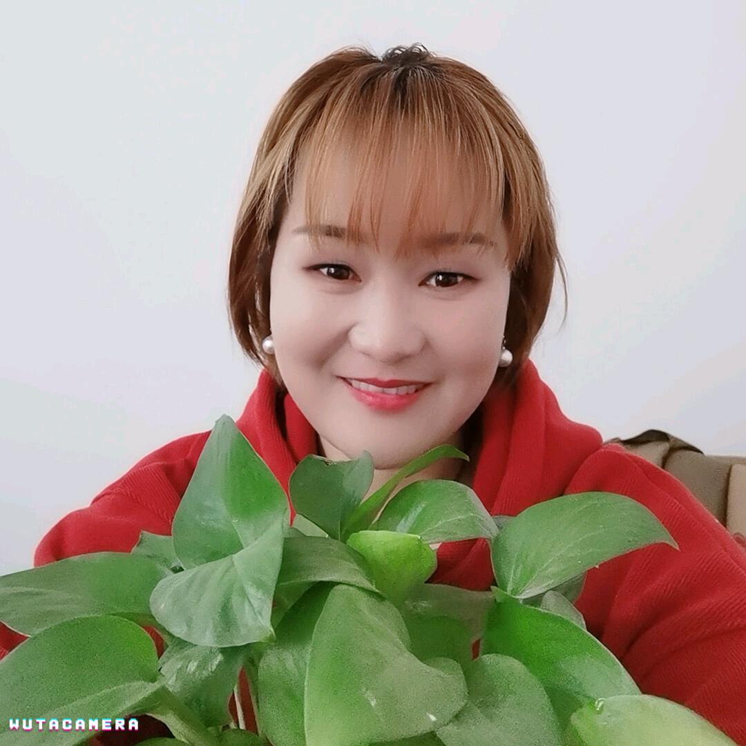 雪梅（豆皮子）