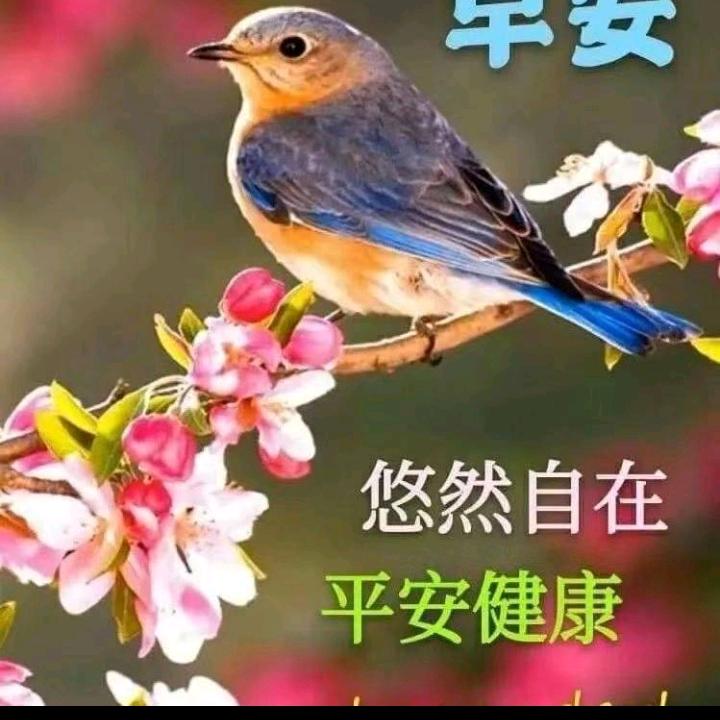 健康是福
