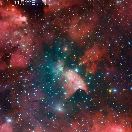 灿烂每一天