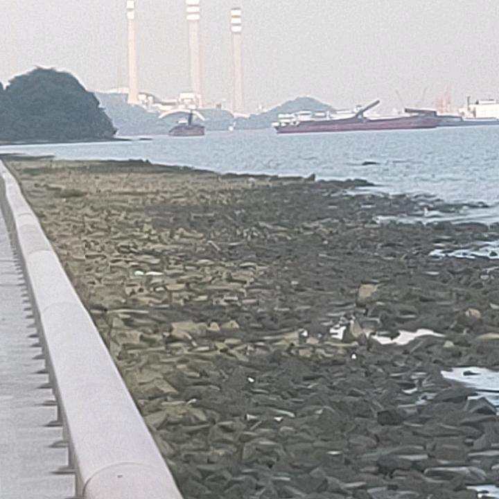 🌈跳跳虎