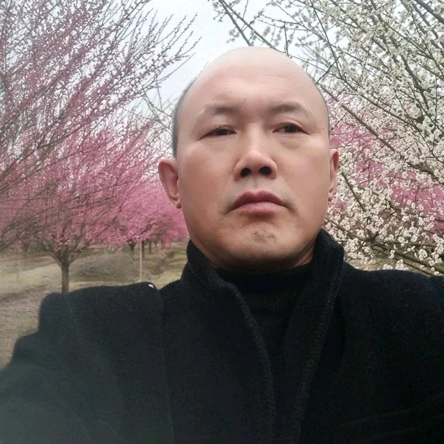糊涂的人生