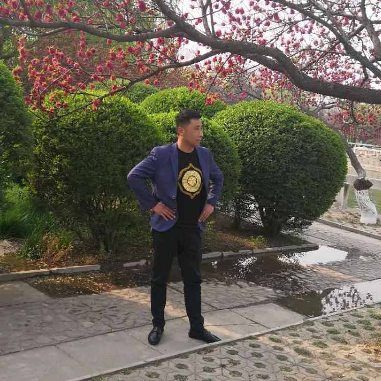 安阳鹏哥