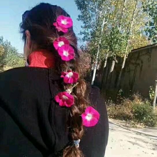 冰心，全品团购