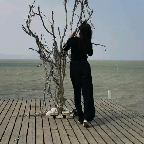 云游记
