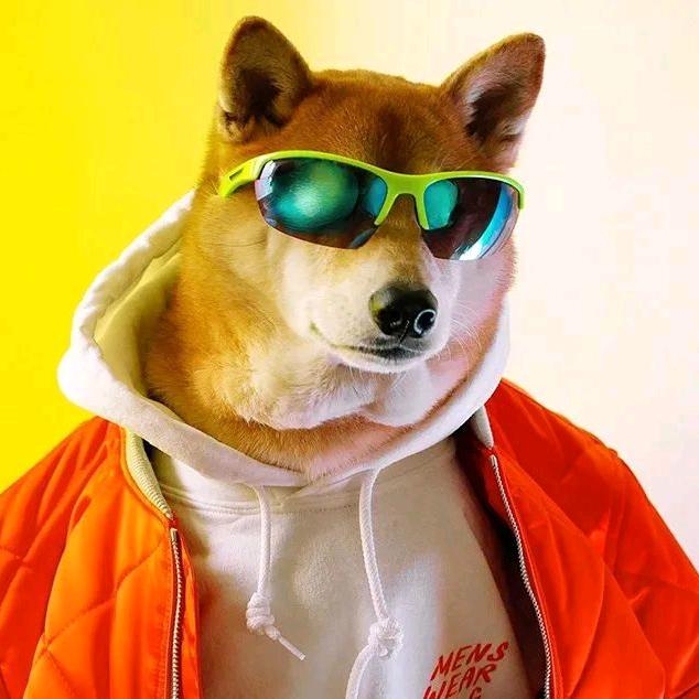 一条大大黄爱玩游戏