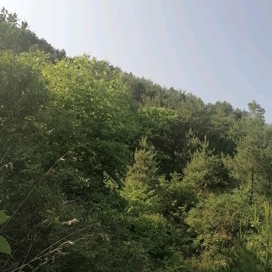 幸福