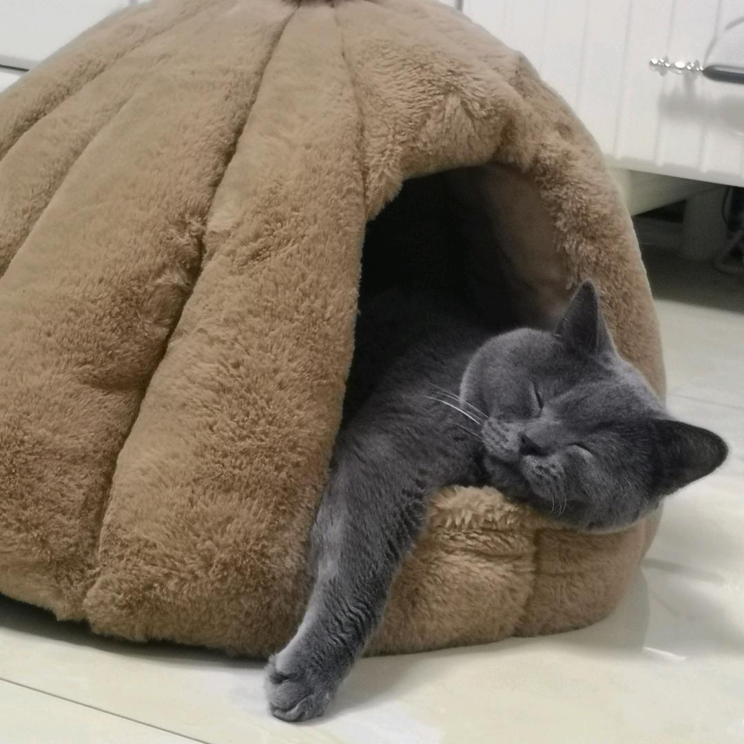 爽妮儿