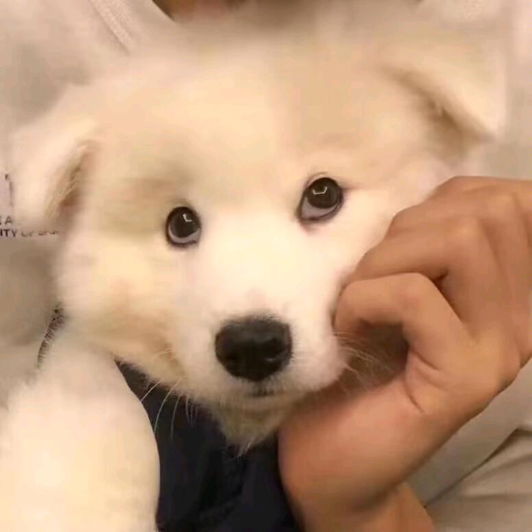 呵呵