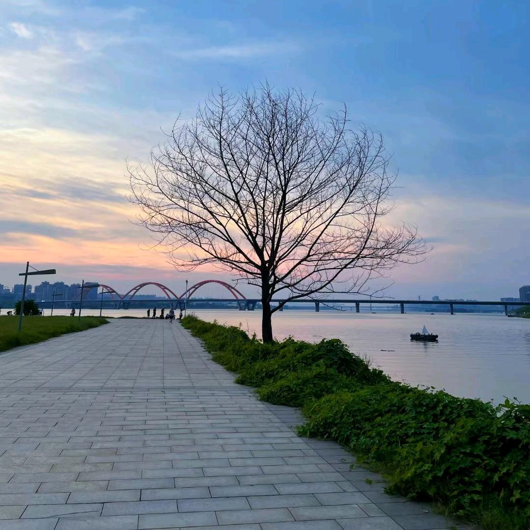 积极向上顺顺利利