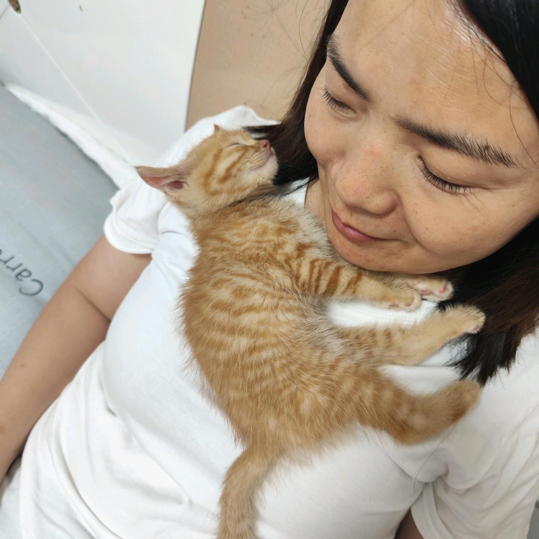 猫咪狗蛋