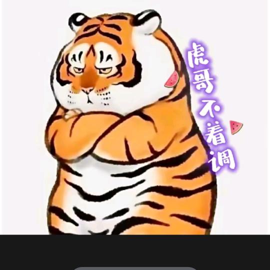 成哥不着调