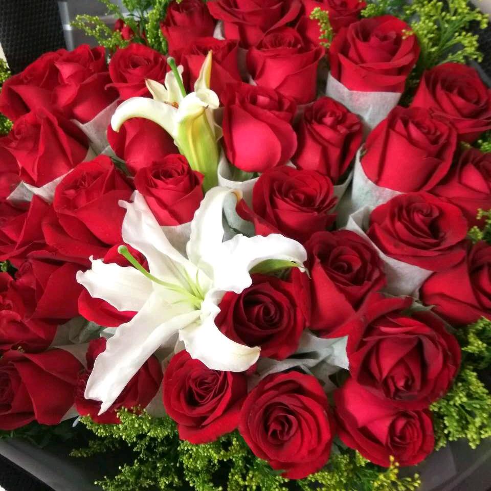 💞风中的琴💞