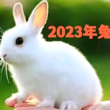 ཧོར་སྐོར་