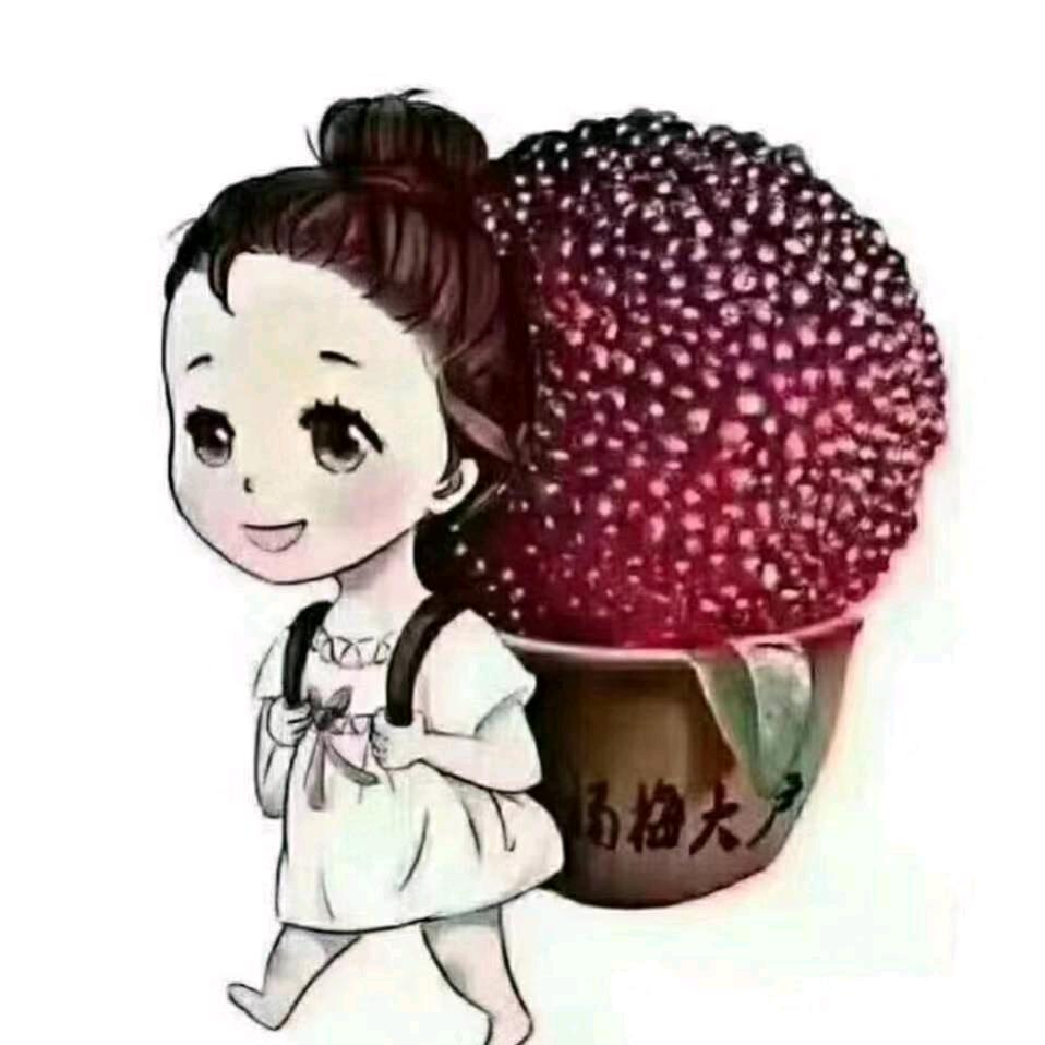 梅子姐（紫笋茶）