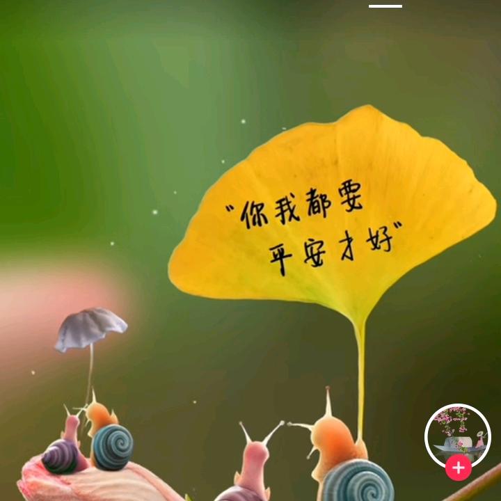 雨露