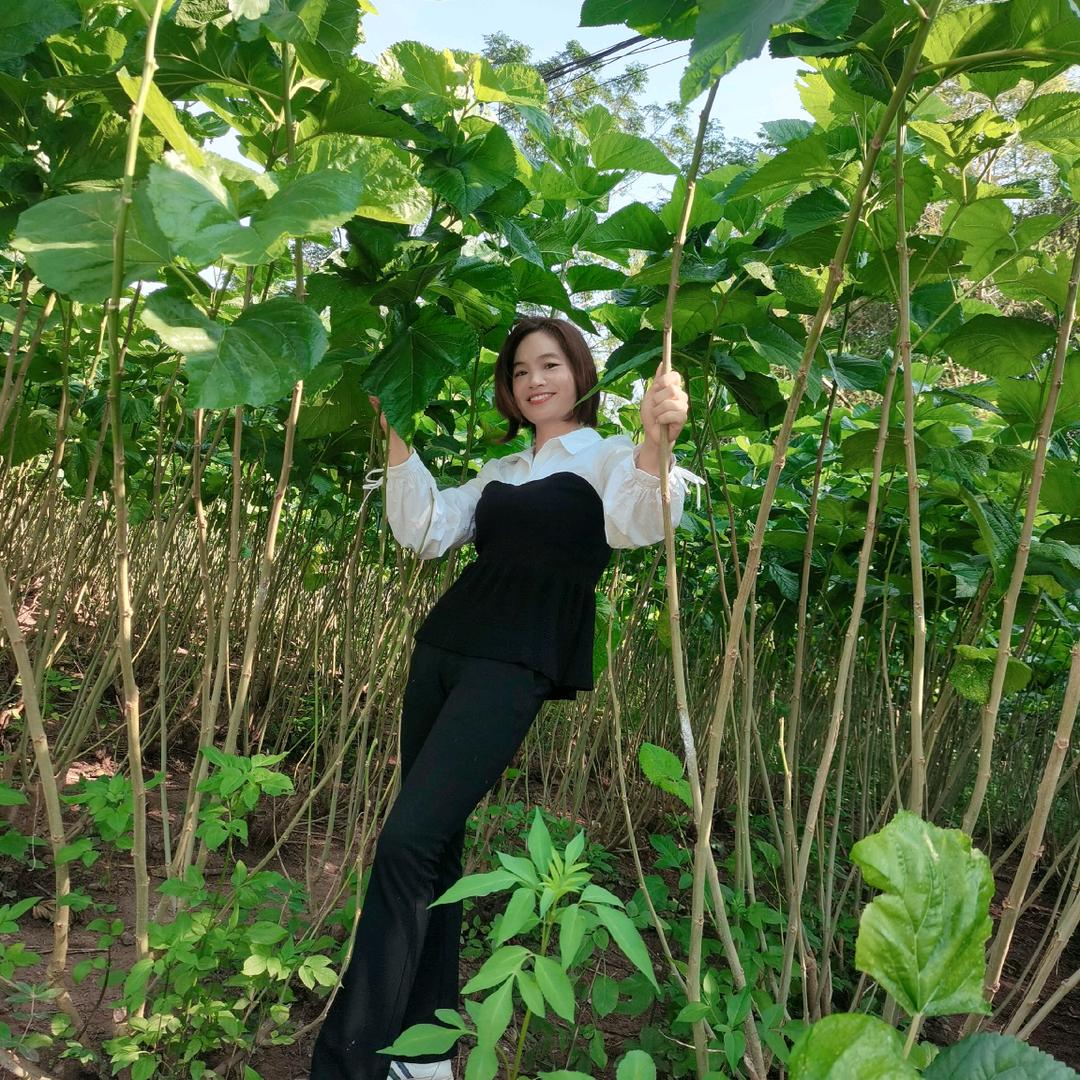 春红姐