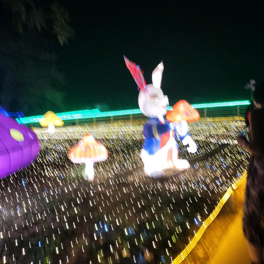 洋媚