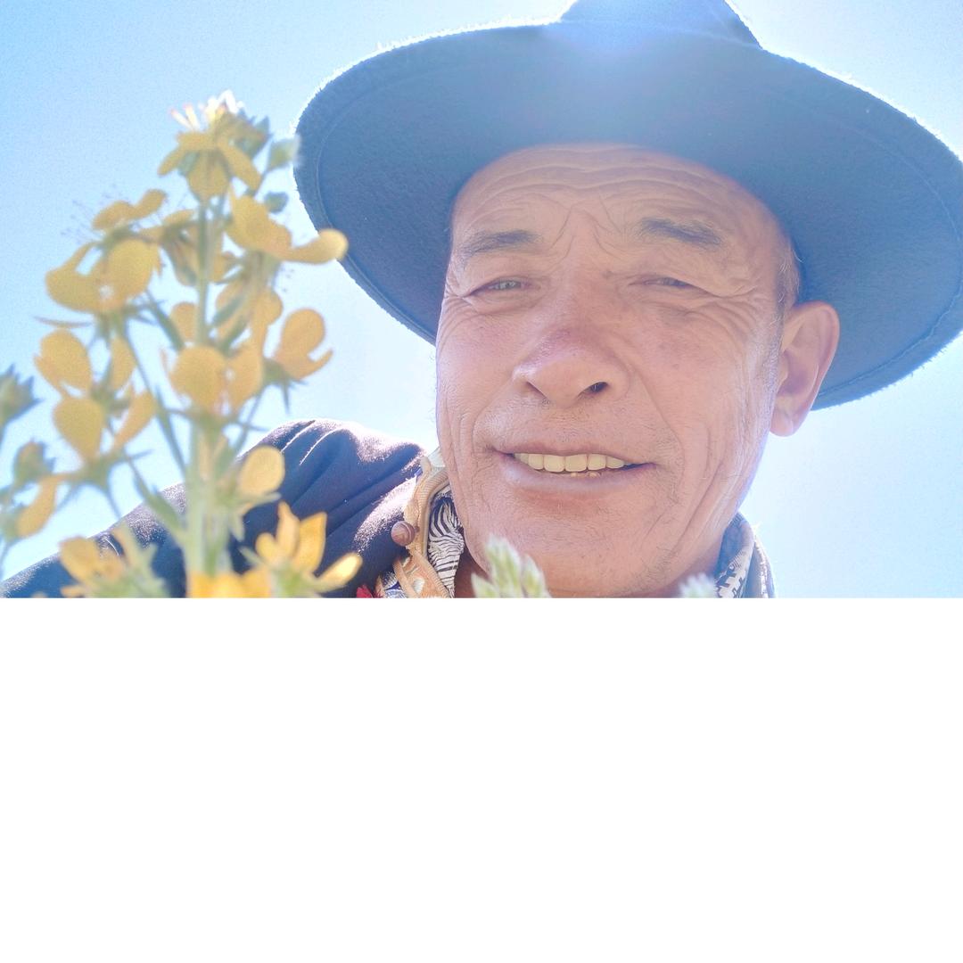 向巴
