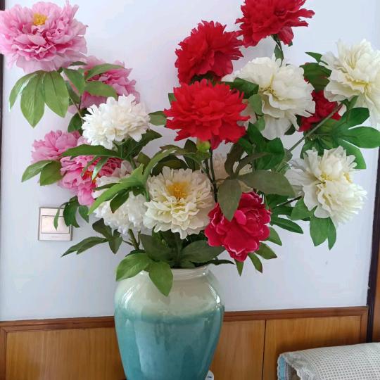 红花开