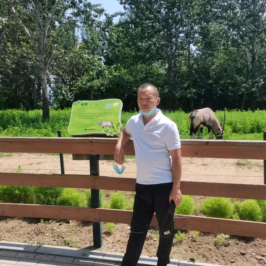 白城市镇赉县沥青摊铺工程