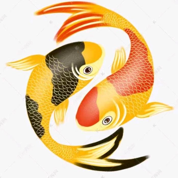 💕有舍必有得💕