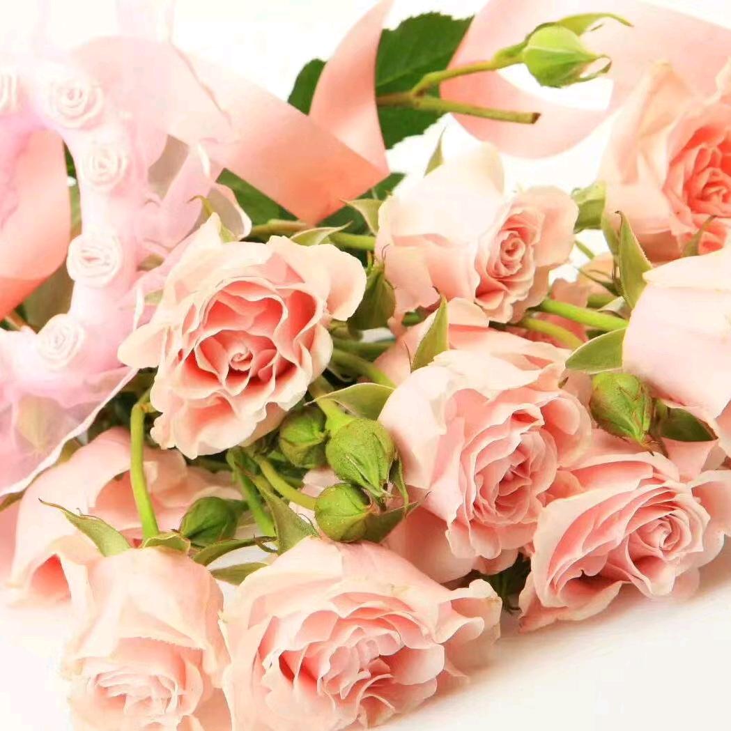 小宇彤学爱学习