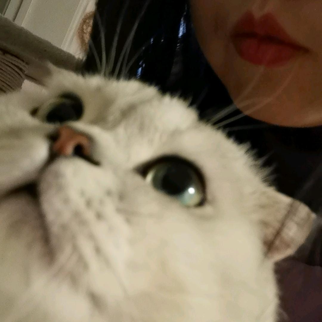 栾欧尼