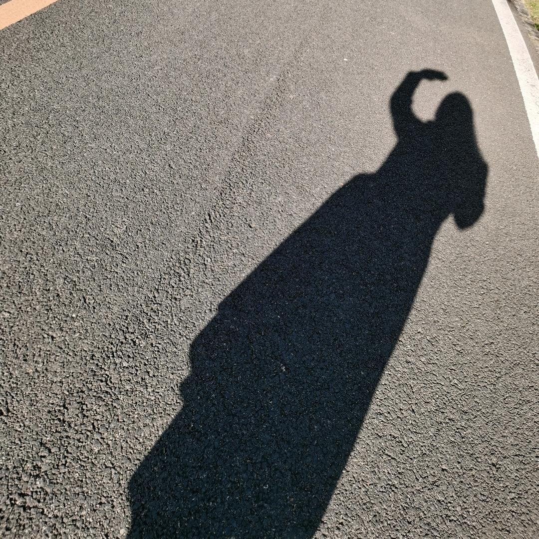 仙人掌做不了花,所以没人捧在手掌心