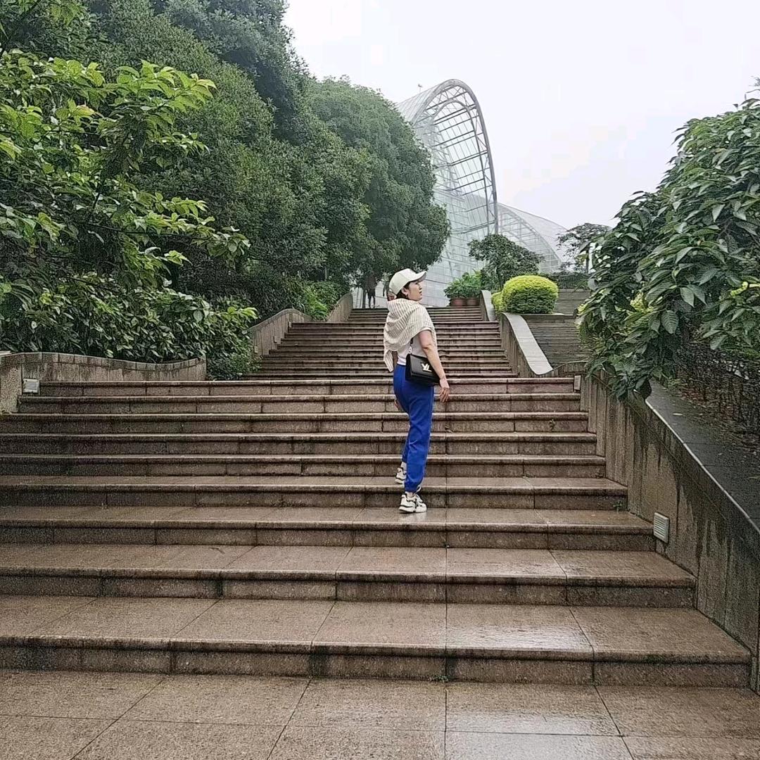 四叶草