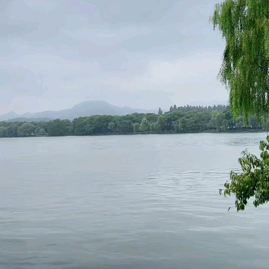 合理