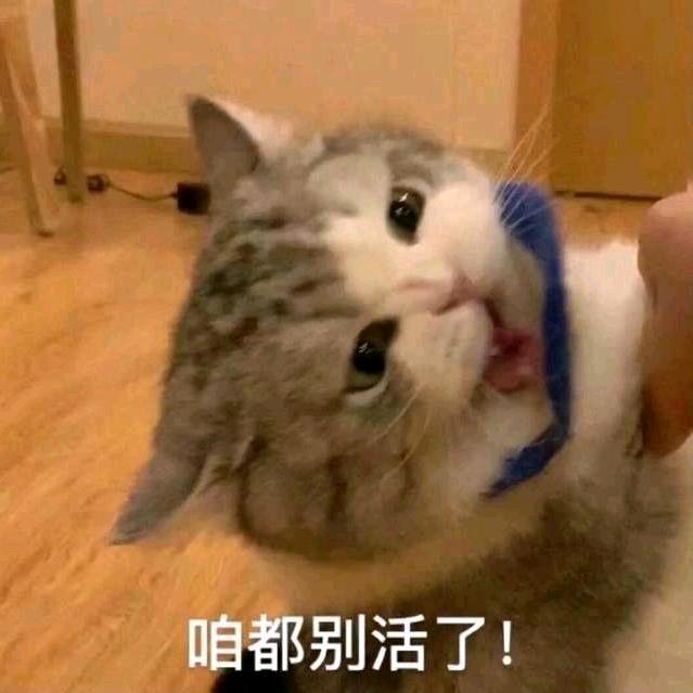 想养只哈基米