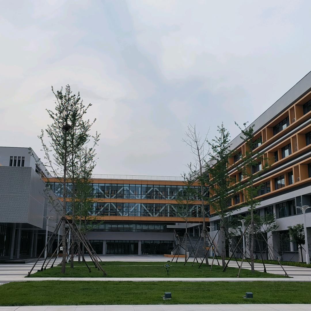 周老师ZIS
