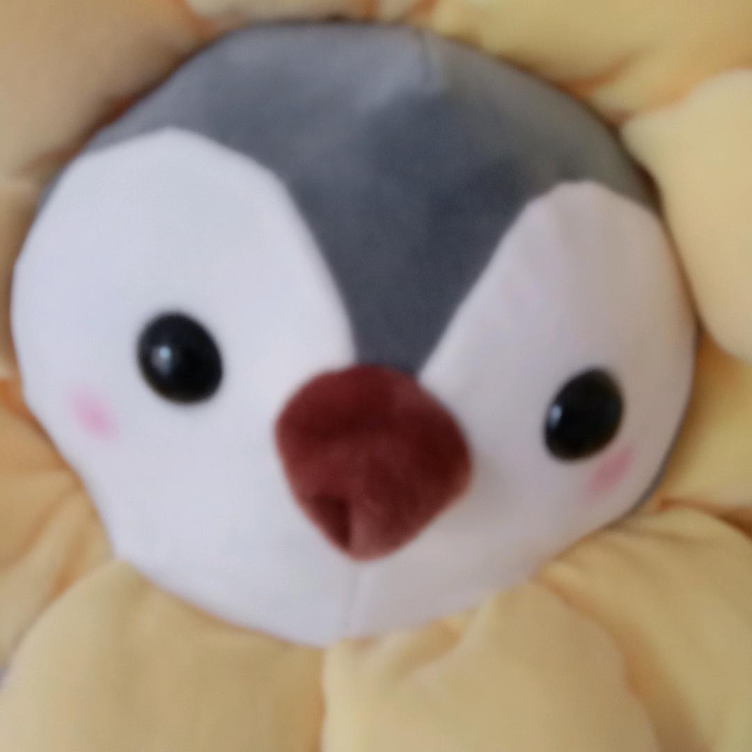 独来独往